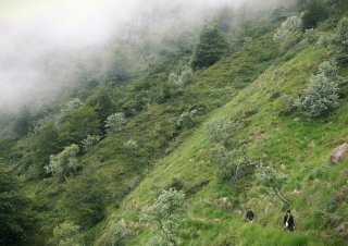 Expanded body #2 _ Inhabiting Time | An experience about Time in the Oasi Zegna
